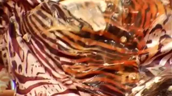 Hot Slut Sundae Screencap 109 on sinx.preview.netperv.com