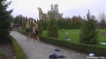 Leggy Stunners' Contentious Catfight Screencap 45 on sinx.preview.netperv.com