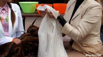 Sloppy Shopping With Gina Screencap 27 on sinx.preview.netperv.com