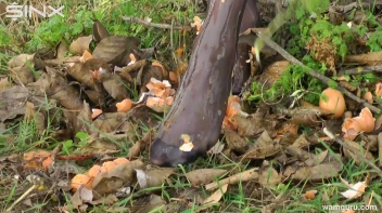 Fiery Girlfriends With A Food Fetish - Cam 1 Screencap 42 on sinx.preview.netperv.com