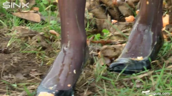 Fiery Girlfriends With A Food Fetish - Cam 1 Screencap 43 on sinx.preview.netperv.com