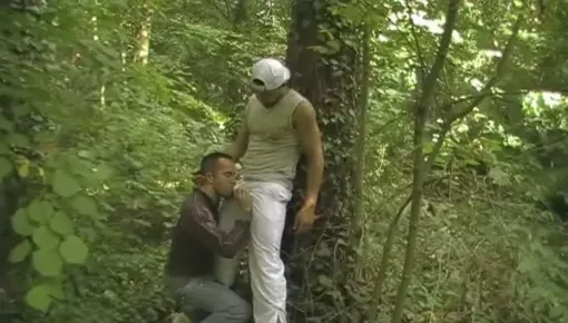 Latest deal - French twink used by arab in exhib forest in sneakers humiliation