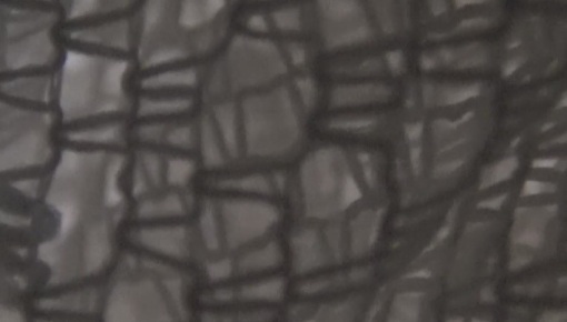 Latest deal - Foxy Sanie cosplay " little red riding hook" POV fuck  czech redhead pornstar and big bad WOLF