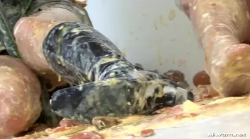 Swamped in Slop Screencap 100 on sinx.preview.netperv.com