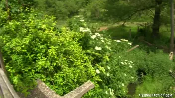 The Piss Bridge Screencap 114 on sinx.preview.netperv.com