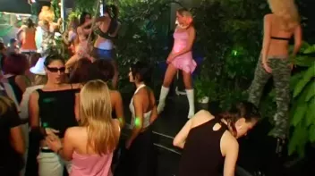 Jungle Bangers Part 1 - Cam 2 Screencap 7 on sinx.preview.netperv.com