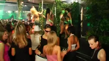 Jungle Bangers Part 1 - Cam 2 Screencap 8 on sinx.preview.netperv.com